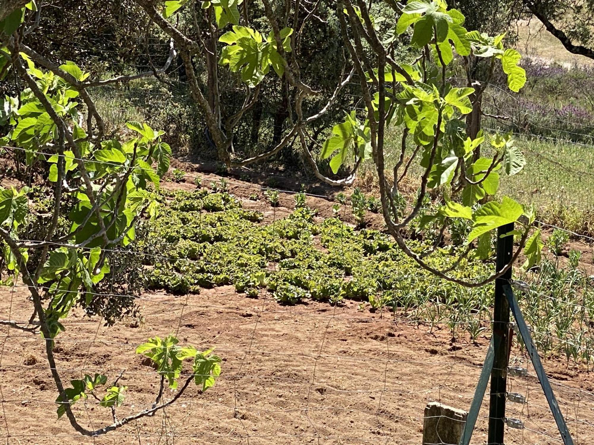 Las Chorreras Del Orejon 2 Villaviciosa de Cordoba Экстерьер фото